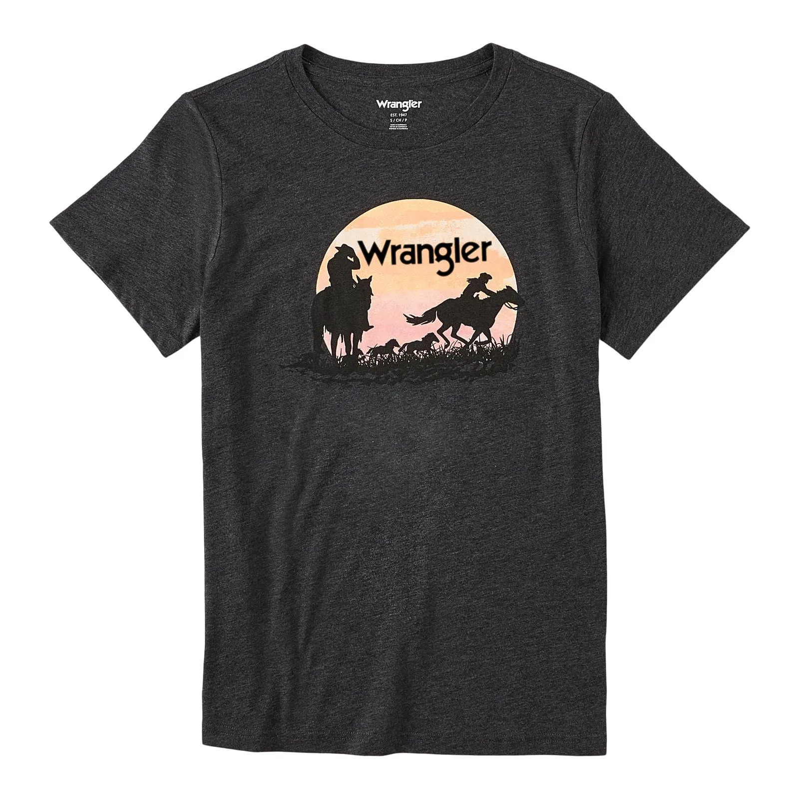 Женска тениска Wrangler® в стил ретро със западна графики, сив 112318877